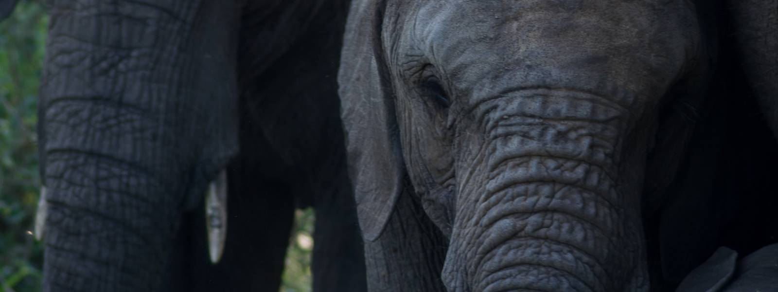 ¿CUÁNTO CUESTA VIAJAR A SUDÁFRICA? ¿CUÁNTO CUESTA VIAJAR A SUDÁFRICA?