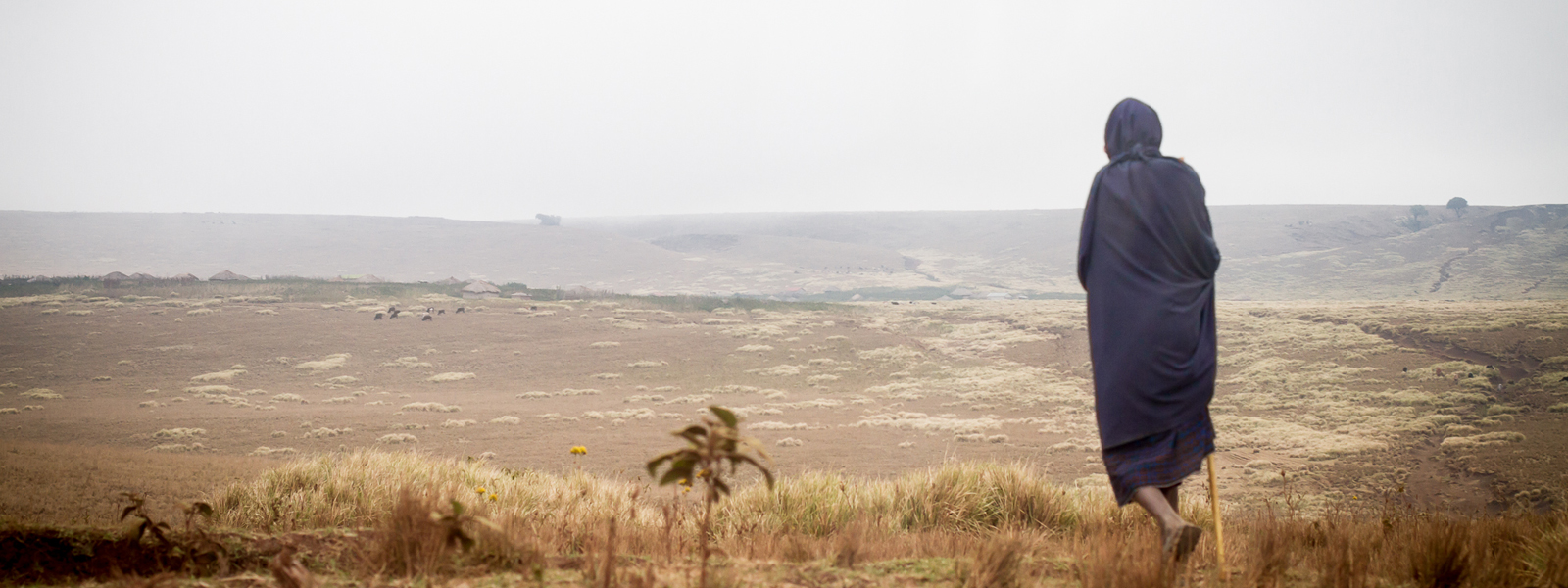 PERIPECIAS DE UNA GUÍA DE VIAJES, I: EL EXPERIMENTO TANZANO PERIPECIAS DE UNA GUÍA DE VIAJES, I: EL EXPERIMENTO TANZANO