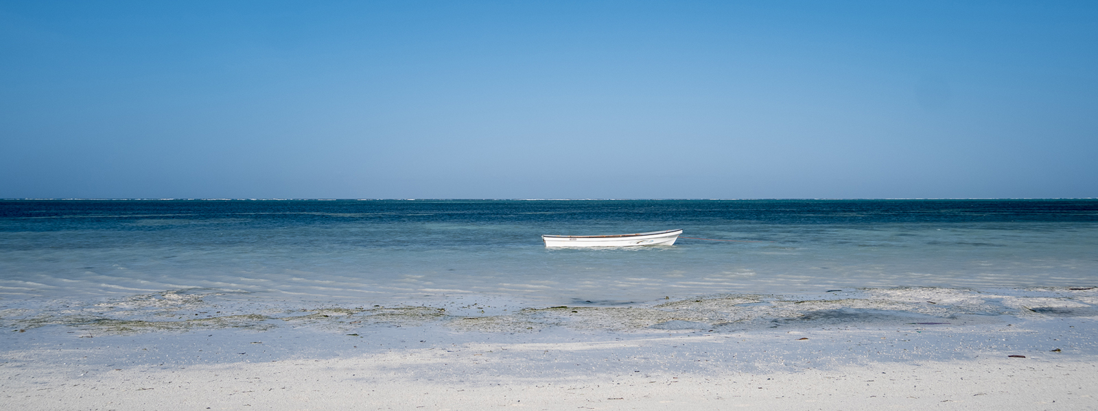 PERIPECIAS DE UNA GUÍA DE VIAJE, V: DESDE UNA PLAYA ZANZIBARÍ PERIPECIAS DE UNA GUÍA DE VIAJE, V: DESDE UNA PLAYA ZANZIBARÍ